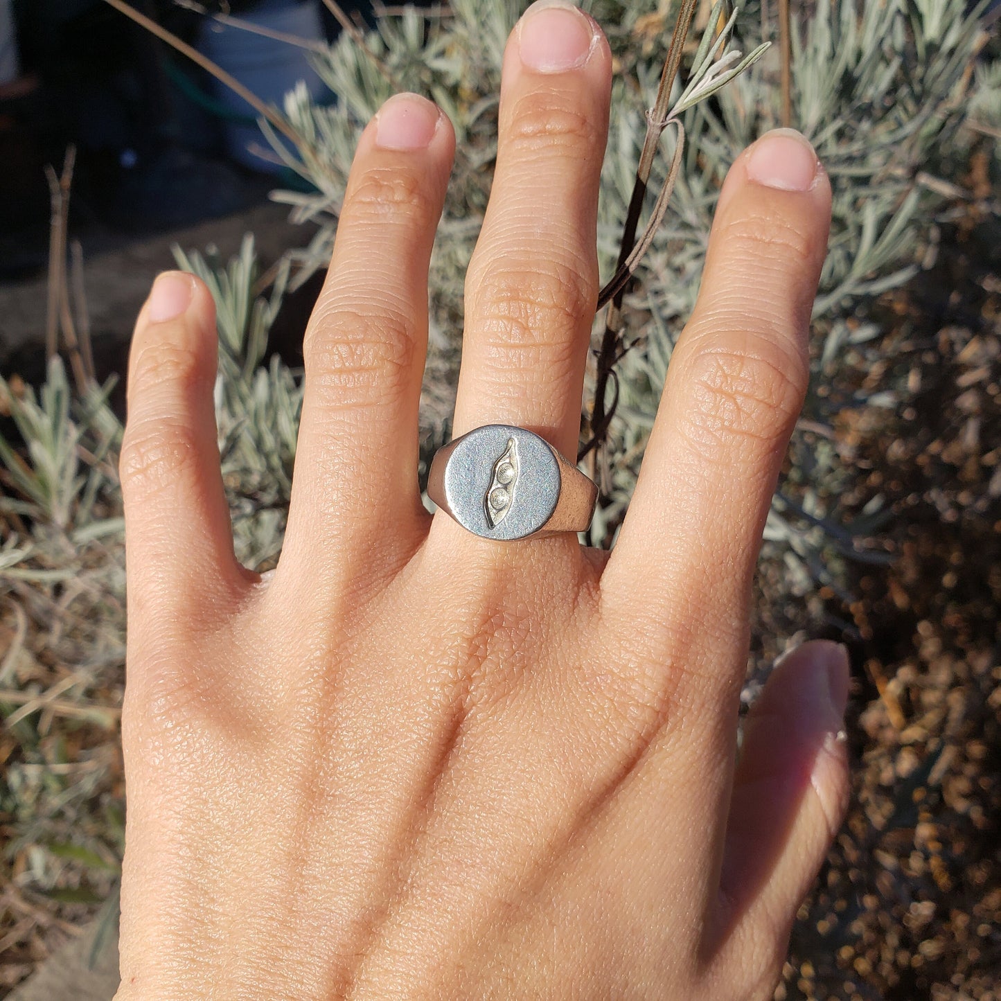 2 peas in a pod wax seal signet ring