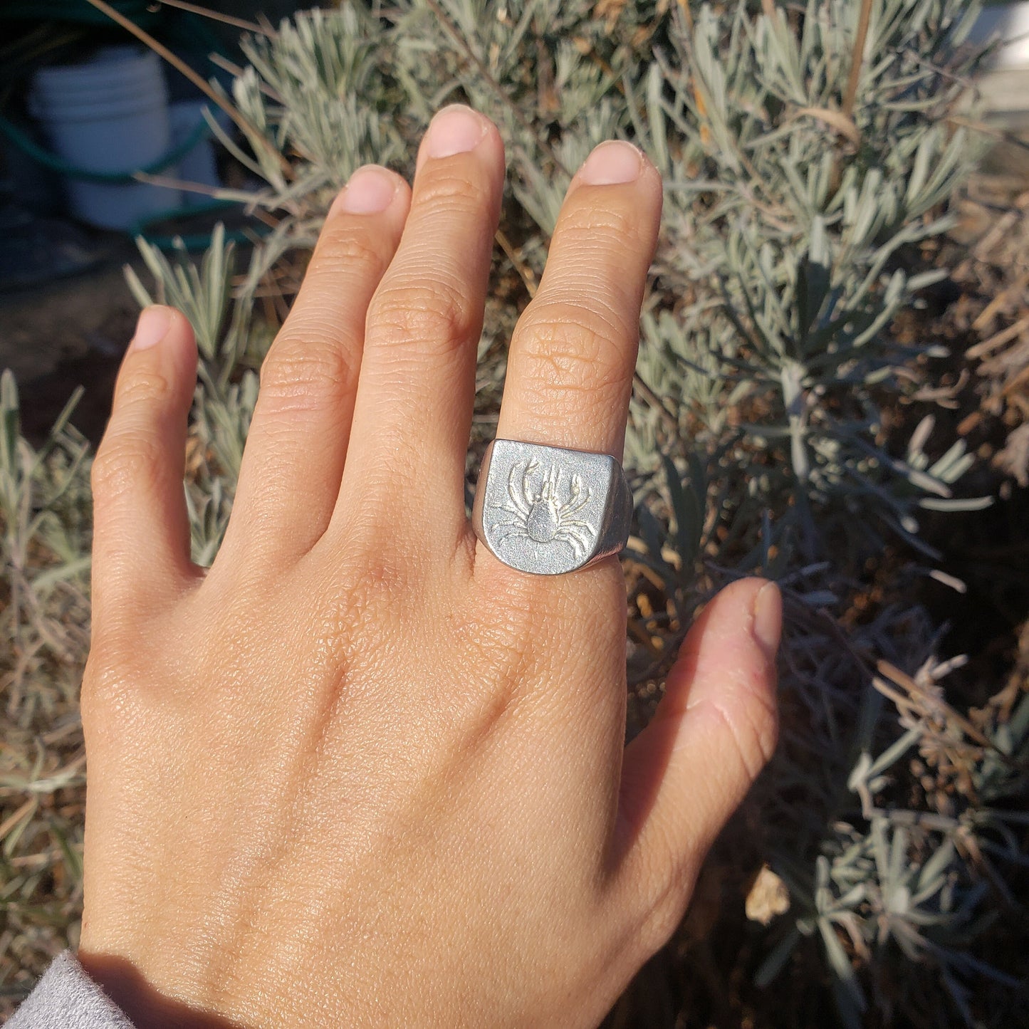 Decorator crab wax seal signet ring