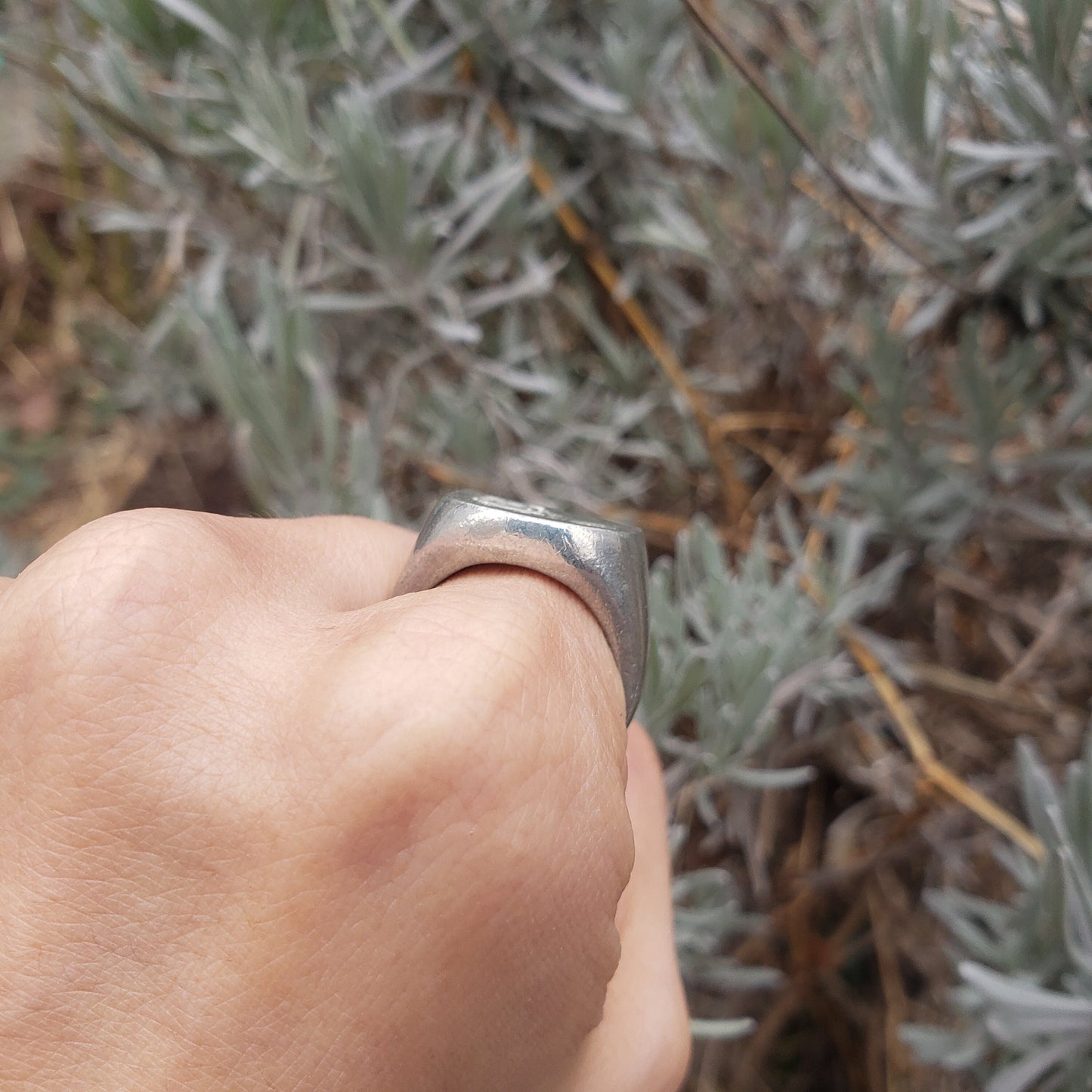 Raccoon wax seal signet ring