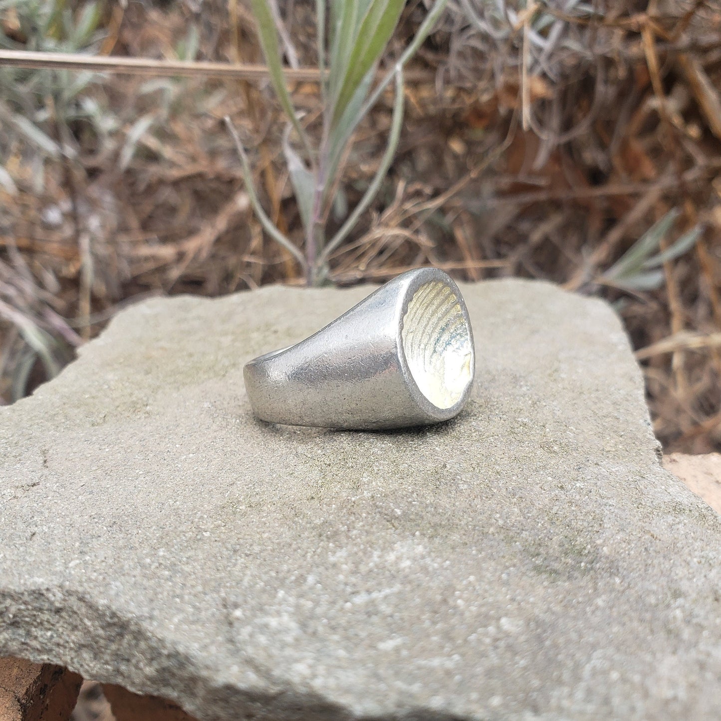 Seashell wax seal signet ring