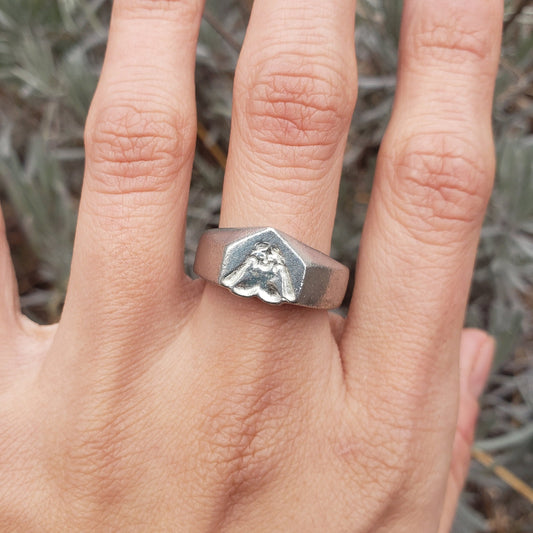 Hanging in the window wax seal signet ring