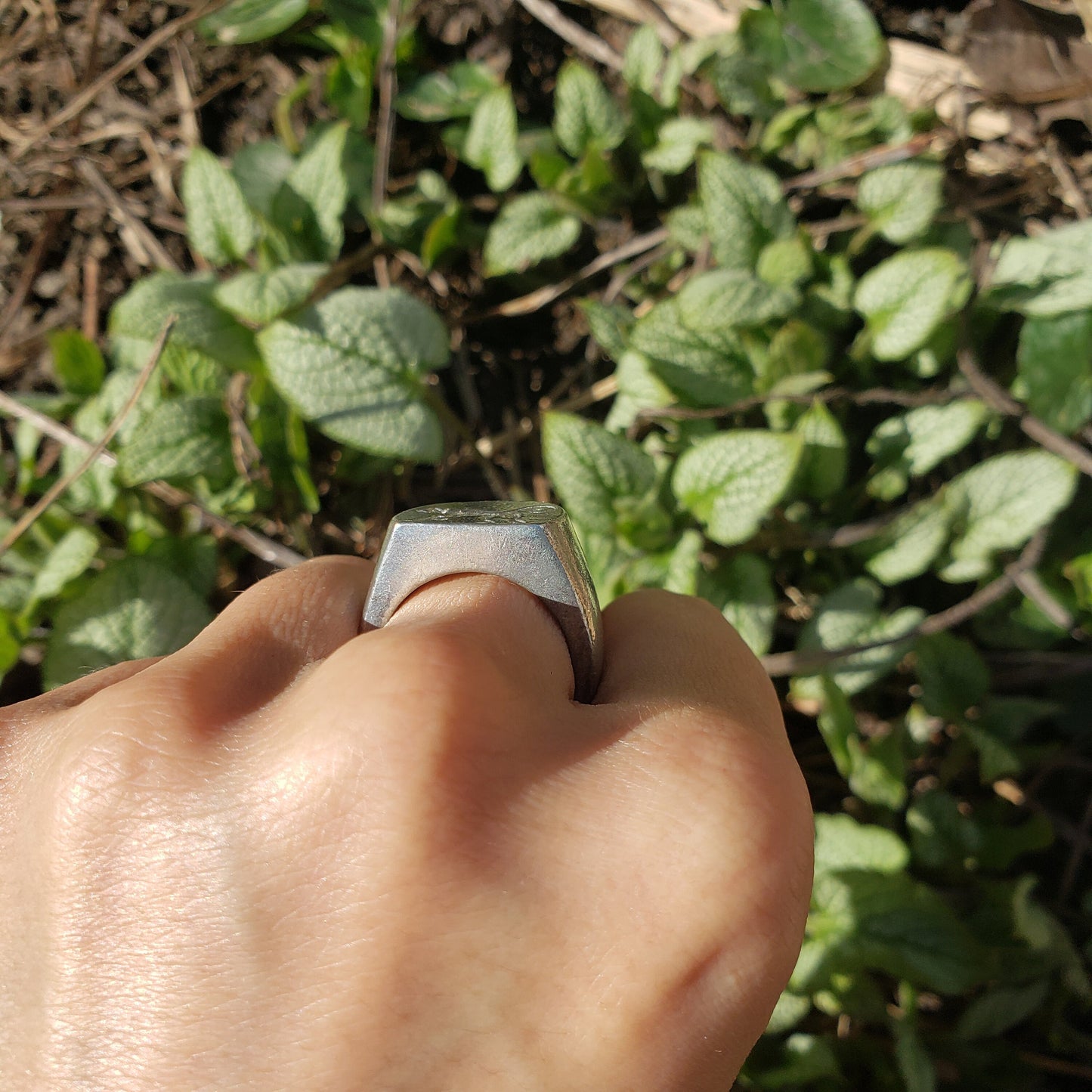 Capuchin monkey wax seal signet ring