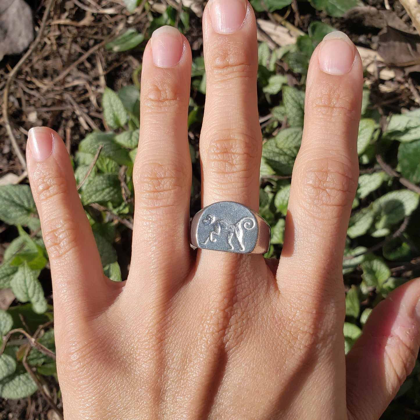 Capuchin monkey wax seal signet ring