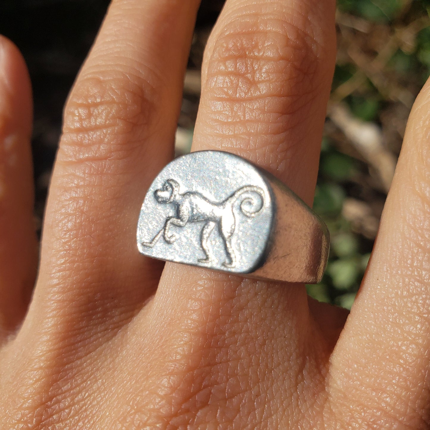 Capuchin monkey wax seal signet ring