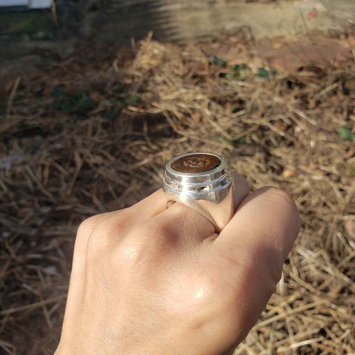 Jacko lantern tigerseye silver ring