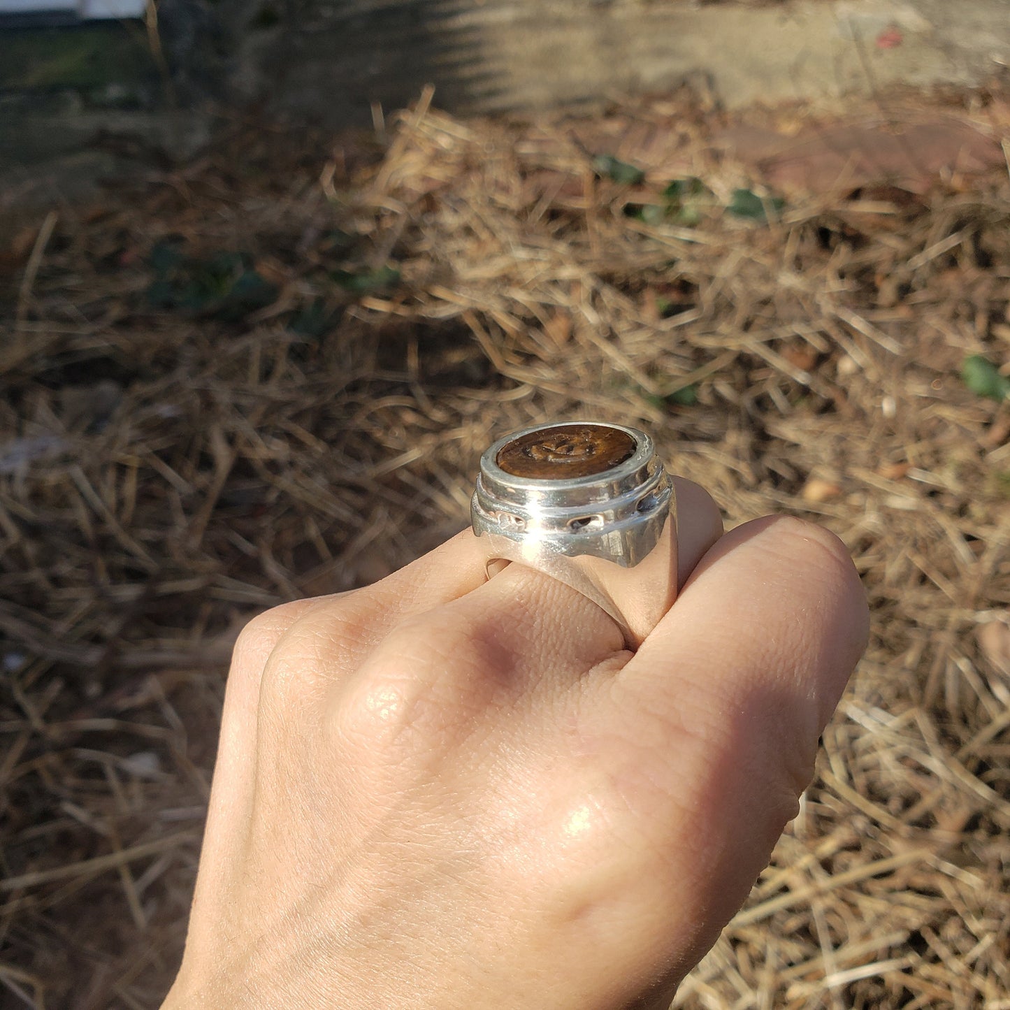 Jacko lantern tigerseye silver ring