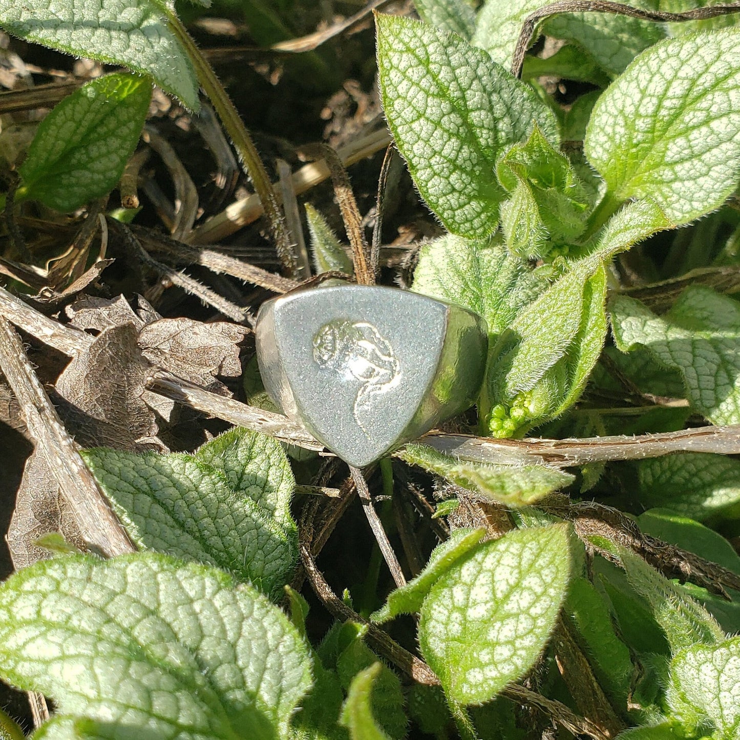 Eyeball wax seal signet ring