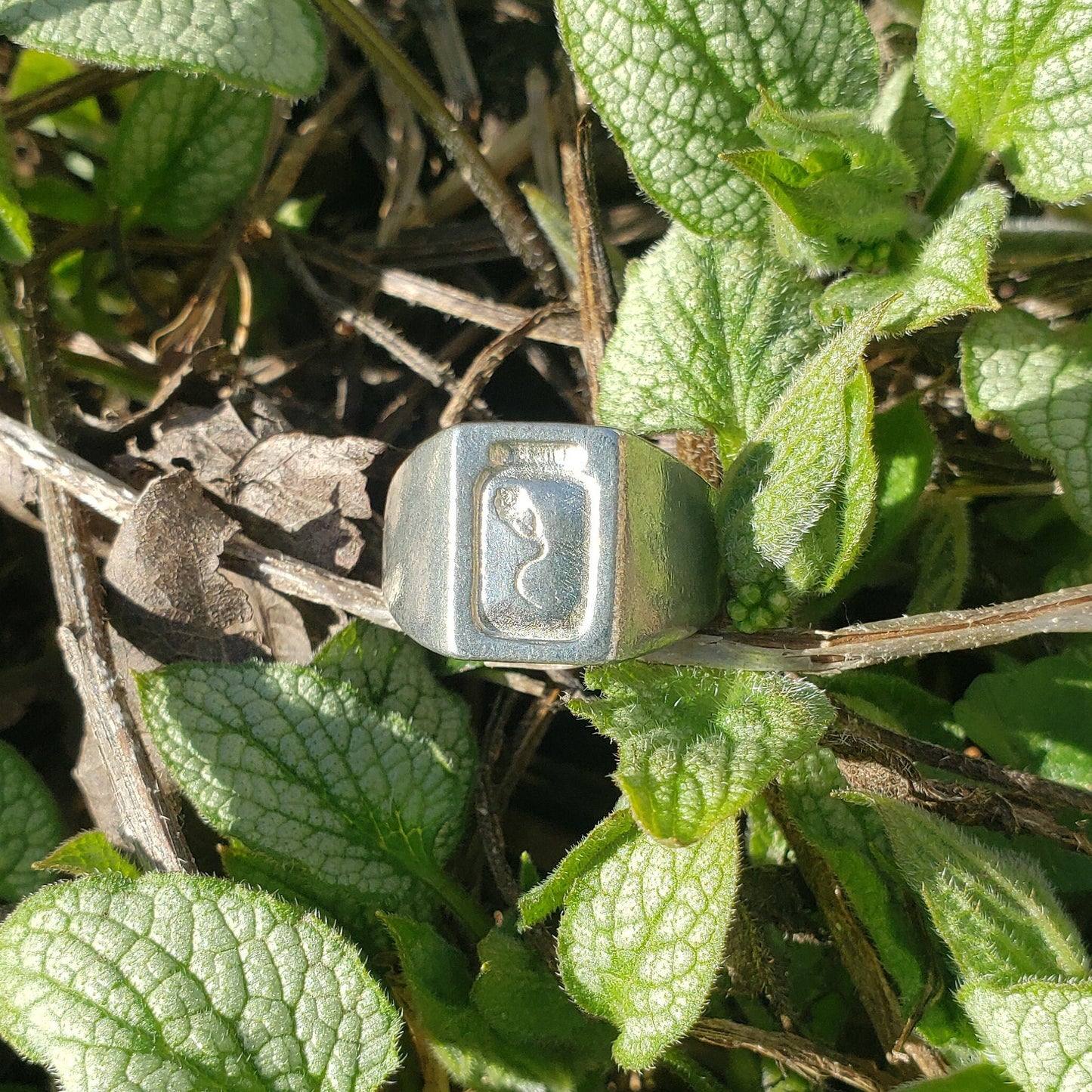 eye jar wax seal signet ring